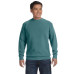 Adult Crewneck Sweatshirt