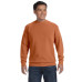 Adult Crewneck Sweatshirt