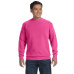 Adult Crewneck Sweatshirt