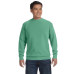 Adult Crewneck Sweatshirt