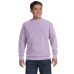 Adult Crewneck Sweatshirt