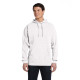 Adult Hooded Sweatshirt