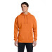 Adult Hooded Sweatshirt