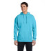 Adult Hooded Sweatshirt