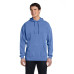 Adult Hooded Sweatshirt