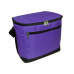 12-Pack Cooler