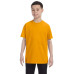 Youth 5.6 oz. DRI-POWER® ACTIVE T-Shirt