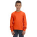 Youth 5 oz. HD Cotton™ Long-Sleeve T-Shirt