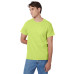 Men's 6.1 oz. Tagless® T-Shirt