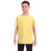 Youth 6.1 oz. Tagless® T-Shirt