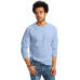 Unisex 6.1 oz. Tagless® Long-Sleeve T-Shirt