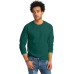 Unisex 6.1 oz. Tagless® Long-Sleeve T-Shirt