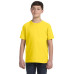 Youth Fine Jersey T-Shirt