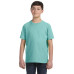 Youth Fine Jersey T-Shirt