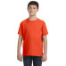 Youth Fine Jersey T-Shirt