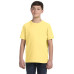 Youth Fine Jersey T-Shirt