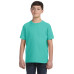 Youth Fine Jersey T-Shirt