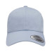 Adult Low-Profile Cotton Twill Dad Cap