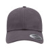 Adult Low-Profile Cotton Twill Dad Cap