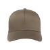 Adult Wooly 6-Panel Cap