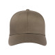 Adult Wooly 6-Panel Cap