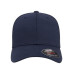 Adult Wooly 6-Panel Cap
