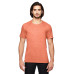 Adult Triblend T-Shirt