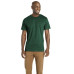 Men's Fine Jersey T-Shirt