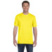 Adult Midweight T-Shirt