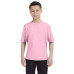 Youth Lightweight T-Shirt