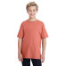 Youth Lightweight T-Shirt