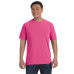 Adult Heavyweight RS T-Shirt