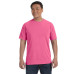 Adult Heavyweight RS T-Shirt