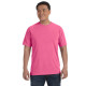 Adult Heavyweight RS T-Shirt