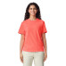 Adult Heavyweight RS T-Shirt