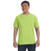 Adult Heavyweight RS T-Shirt