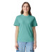 Adult Heavyweight RS T-Shirt