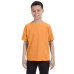 Youth Midweight RS T-Shirt