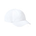 Evaporator Cap