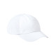 Evaporator Cap