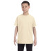 Youth 5.3 oz. T-Shirt