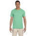 Adult Softstyle® 4.5 oz. T-Shirt