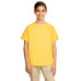 Youth Softstyle® 4.5 oz. T-Shirt