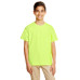 Youth Softstyle® 4.5 oz. T-Shirt