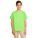 Youth Softstyle® 4.5 oz. T-Shirt