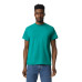 Adult 5.5 oz., 50/50 T-Shirt