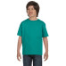 Youth 5.5 oz., 50/50 T-Shirt