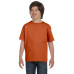 Youth 5.5 oz., 50/50 T-Shirt