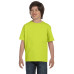 Youth 5.5 oz., 50/50 T-Shirt