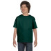 Youth 5.5 oz., 50/50 T-Shirt